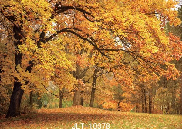 осенние пейзажи