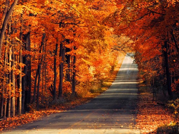 осенние пейзажи