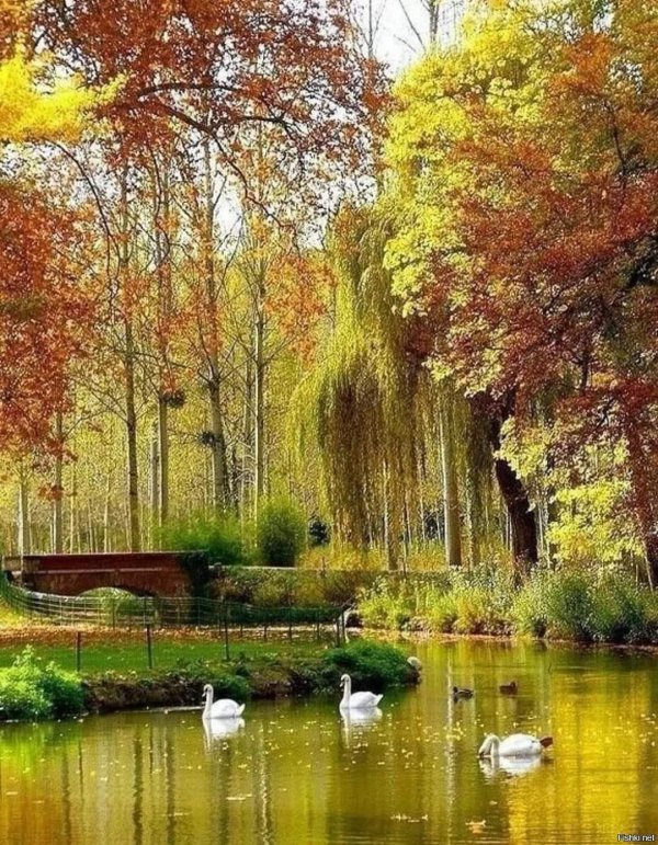 осенние пейзажи