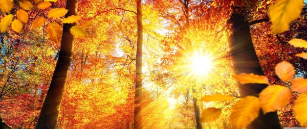 солнце осеннее