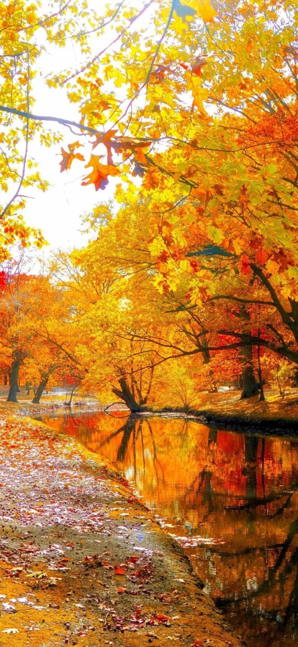 осенние пейзажи