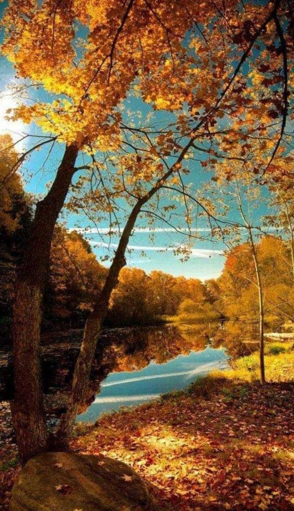 осенние пейзажи