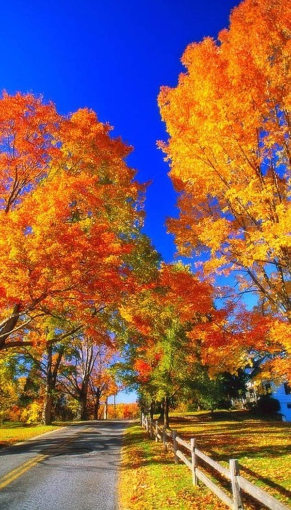 осенние пейзажи