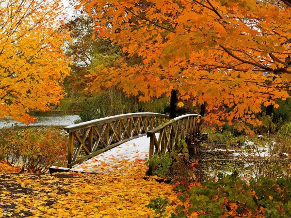 осенняя природа