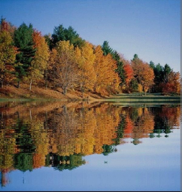 природа осенняя