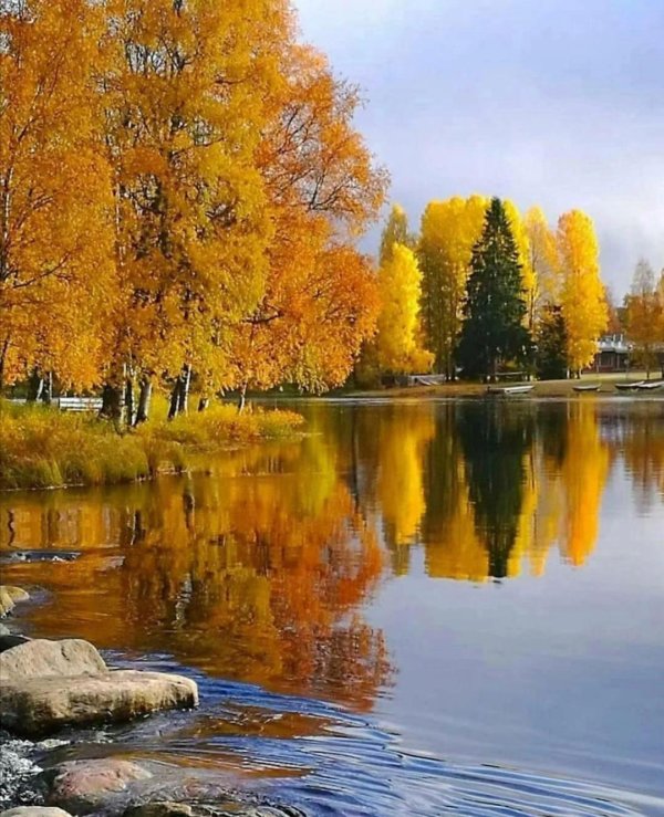 осенние пейзажи