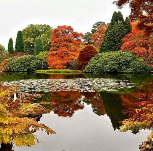 парк шеффилд гарден