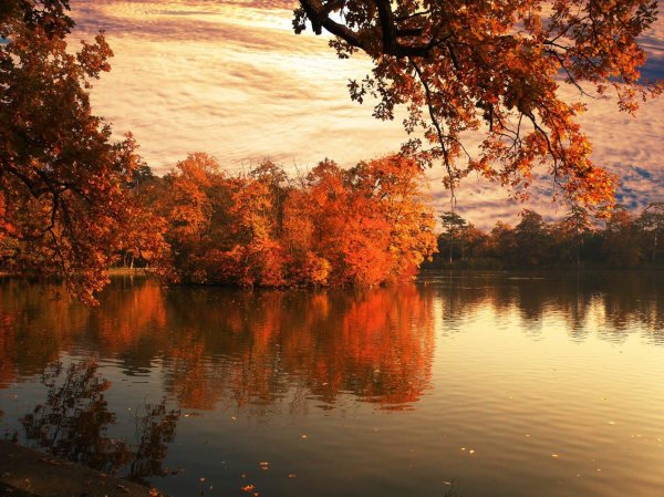 осенние пейзажи