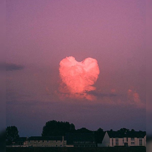 эстетика любви