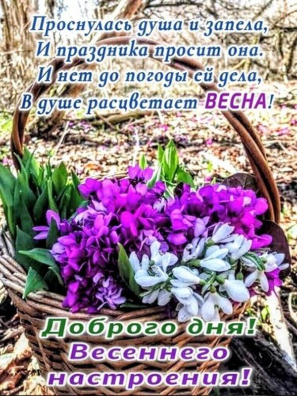 доброго дня весеннего