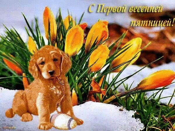 весенней пятницы