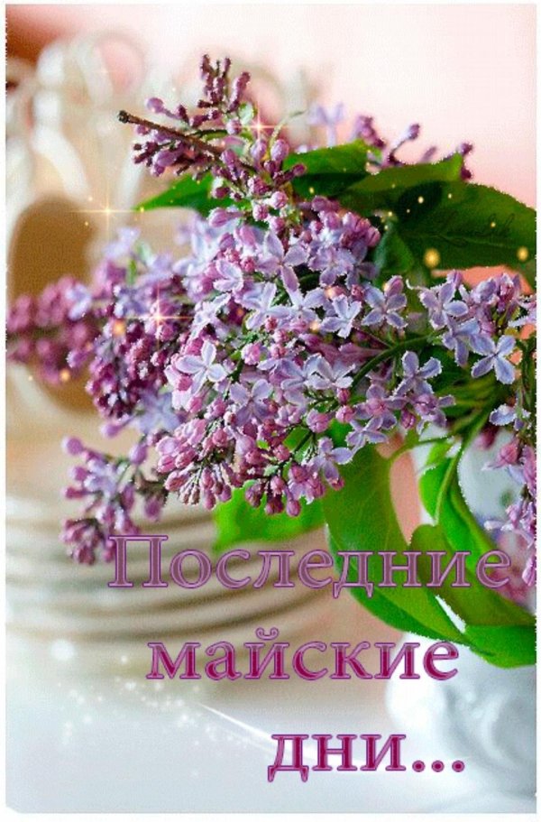 майские дни