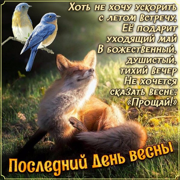 весна поздравление