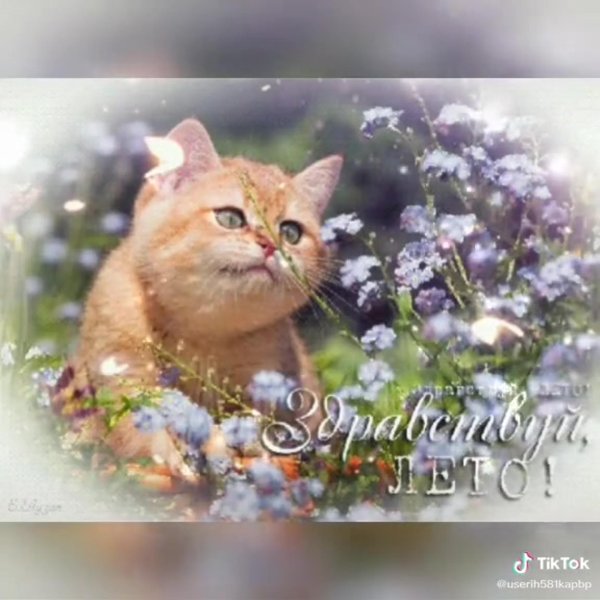 весенний день