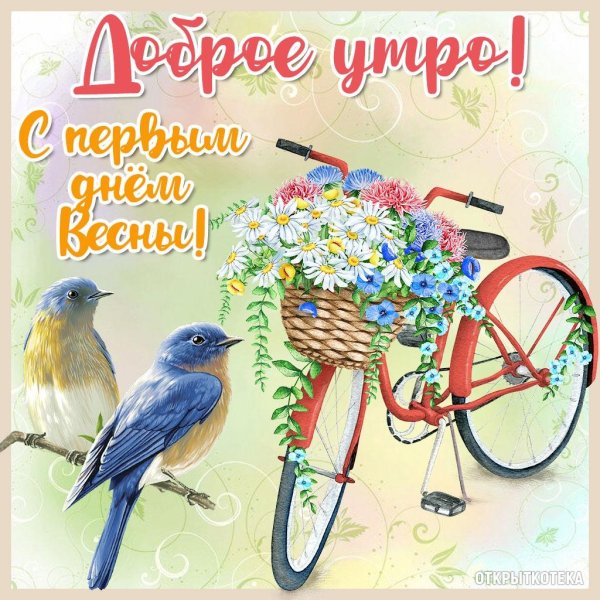 велосипед с цветами иллюстрация