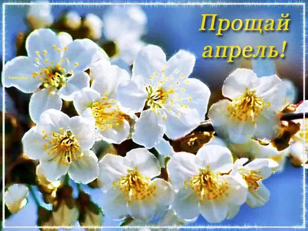 апрель апрель