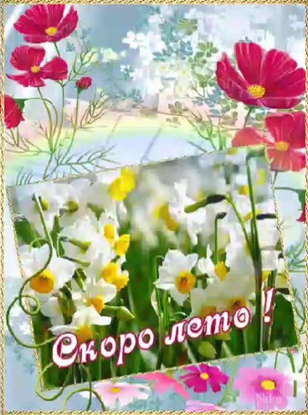 летние открытки