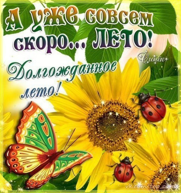 вспоминая лето