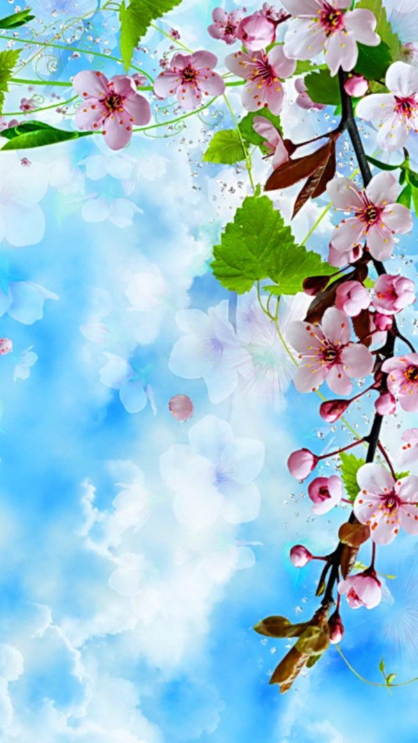 весенний фон вертикальный