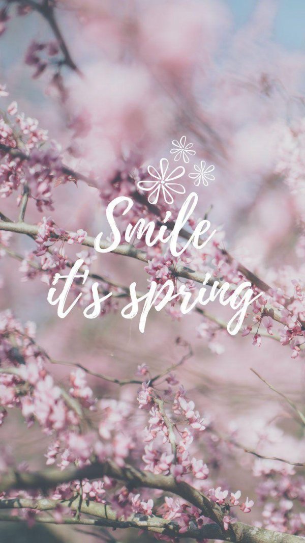hello spring эстетика