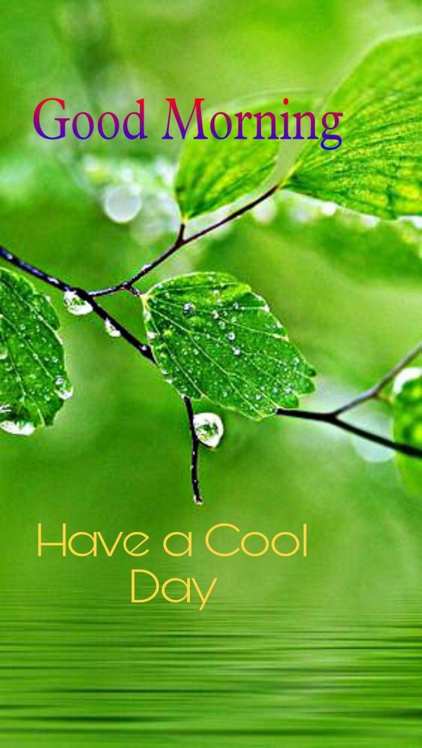 лист зеленый