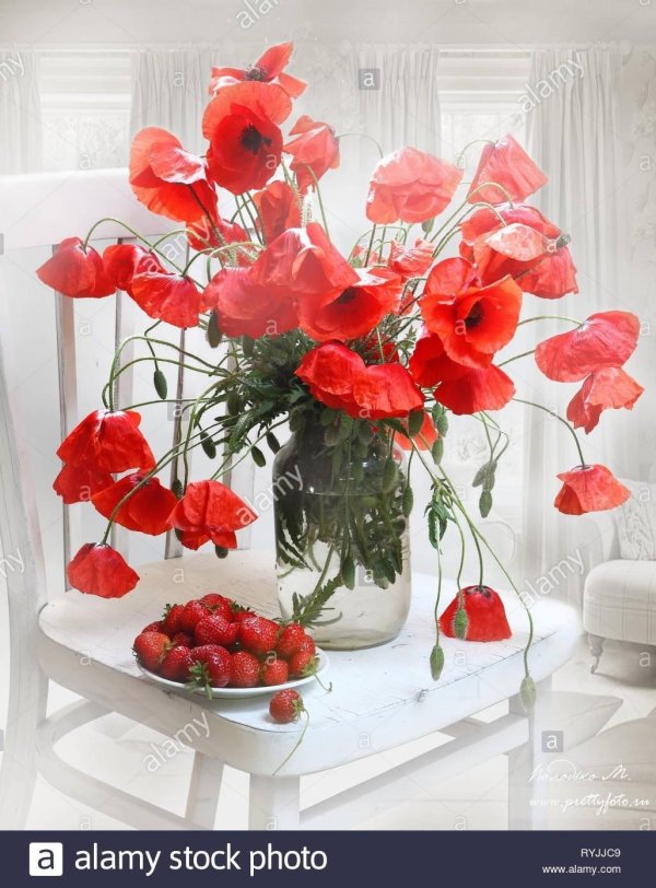 маки натюрморт