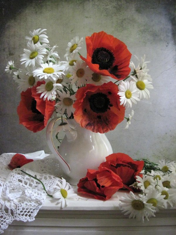 ромашки натюрморт