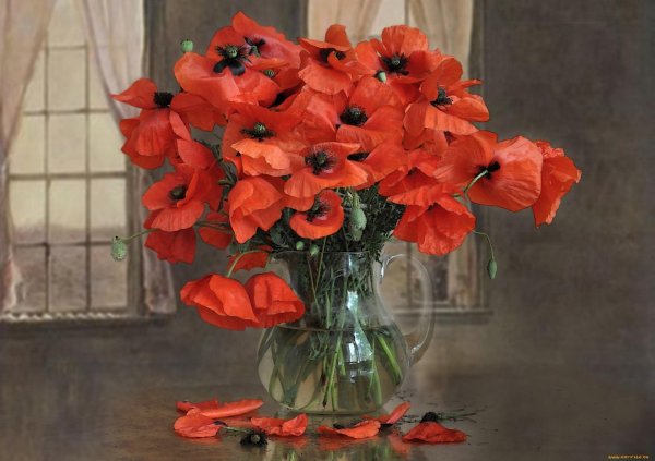 маковый букет