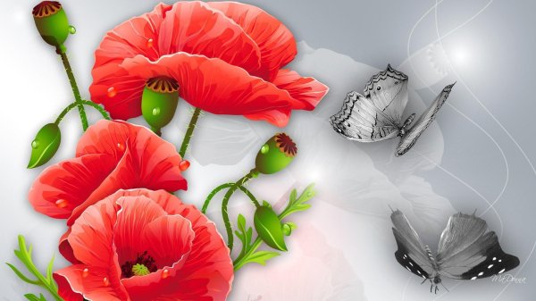 бабочка на цветке