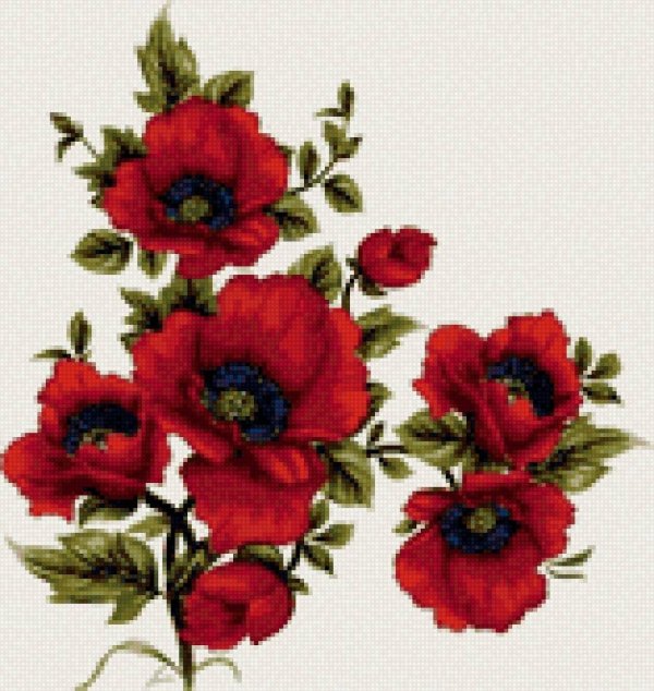 цветок мака рисунок