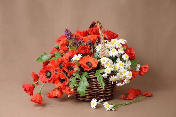 летние букеты