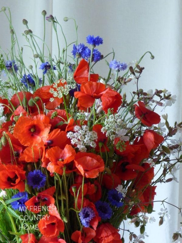 букеты полевых васильков ромашек маков