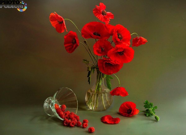 маки в вазе