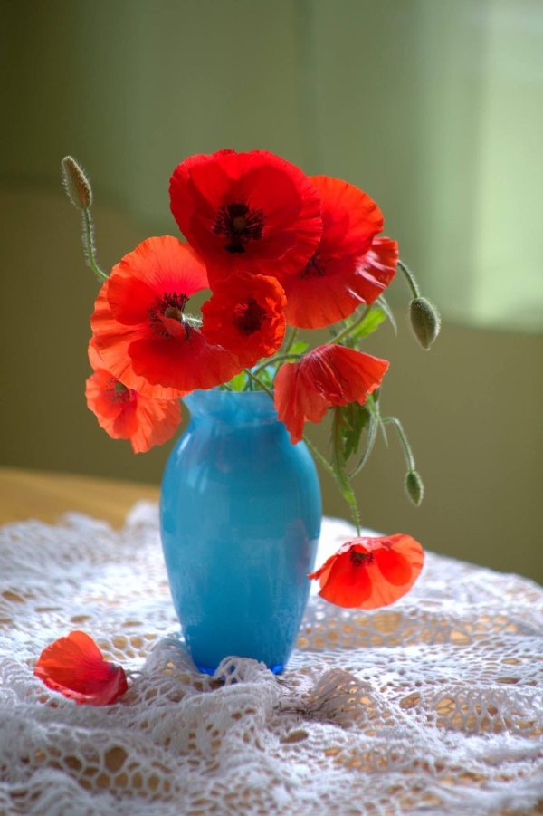 букет маков