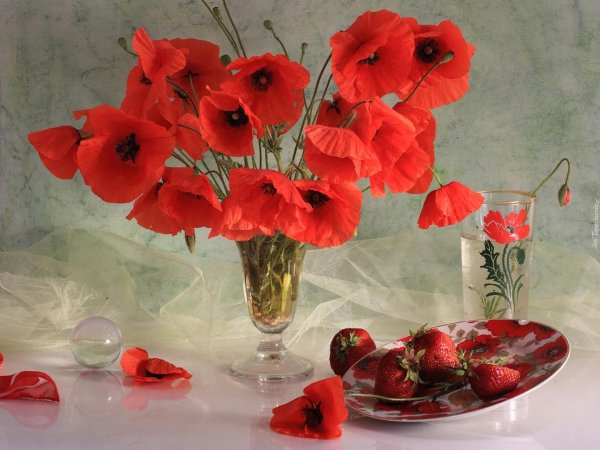 цветочные натюрморты натальи панга