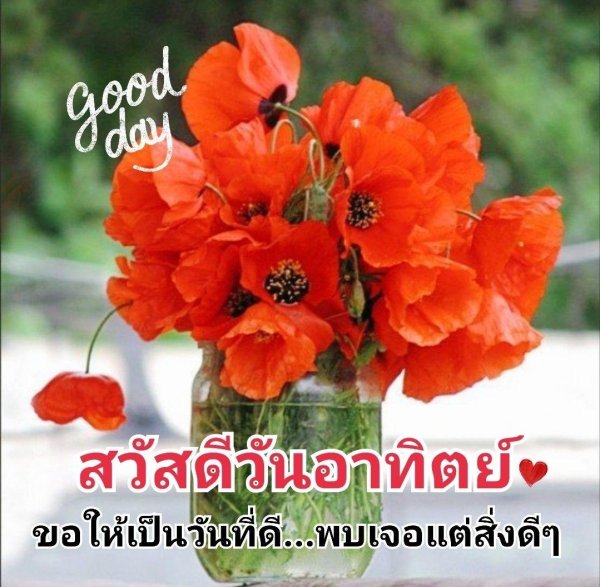 маковый букет