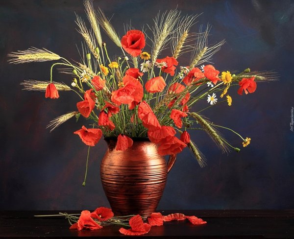 маки в вазе