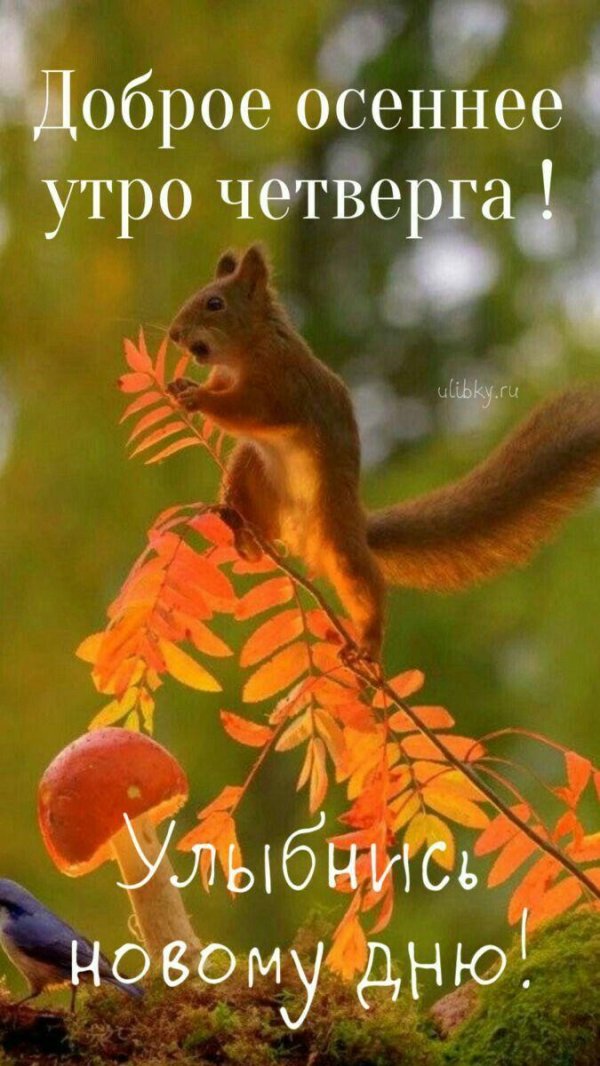 доброе утро осень четверг