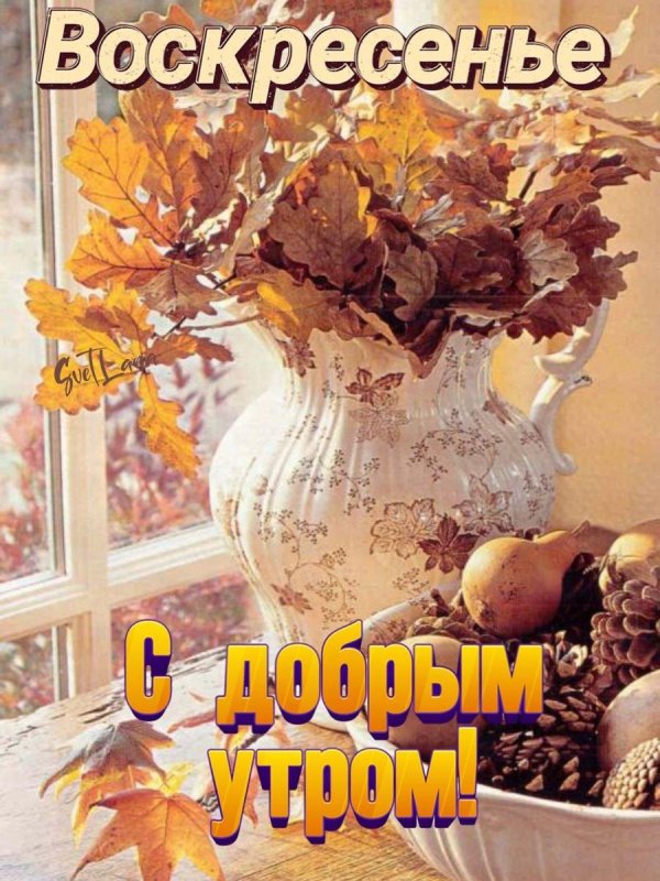 доброе утро воскресенье осеннее