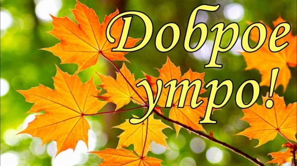 доброго утра осени