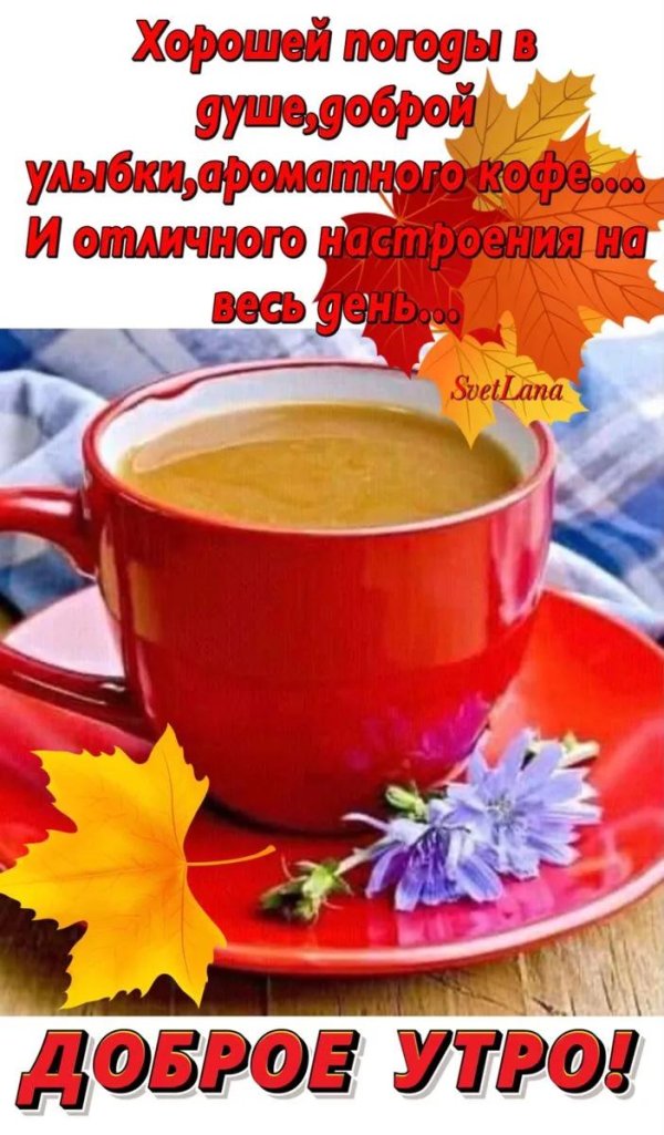 осеннего утра и хорошего настроения