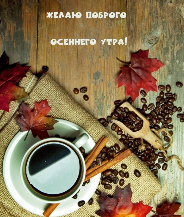 утро сентября