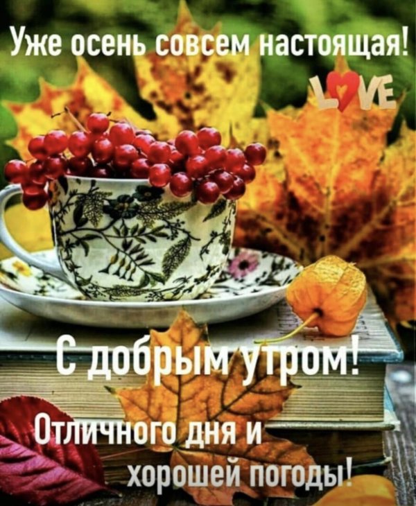 доброго осеннего утра и хорошего
