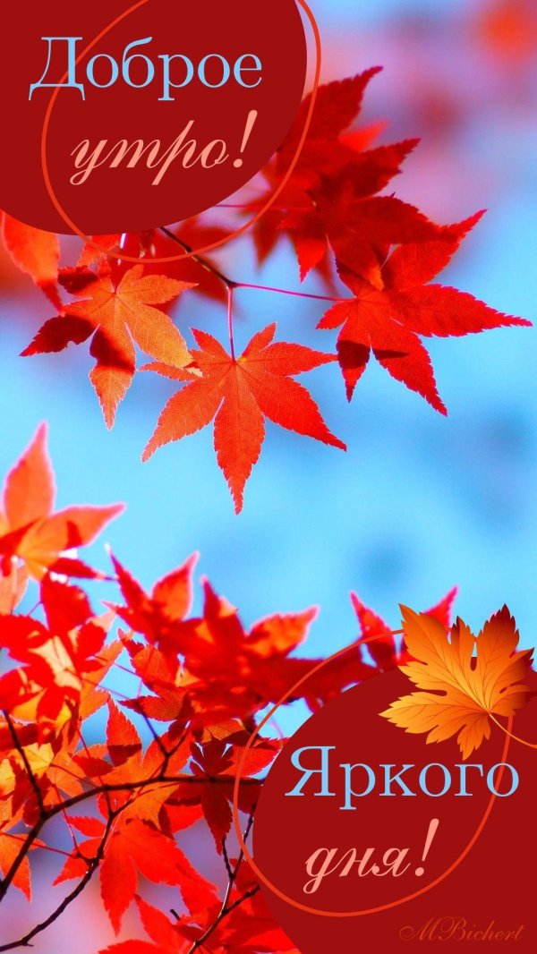 доброе осеннее утро сентября