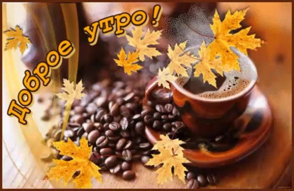 сдобрым осеннтм утром воскресенье