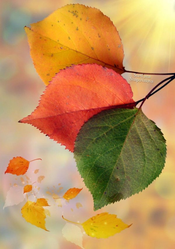 осень пожелания