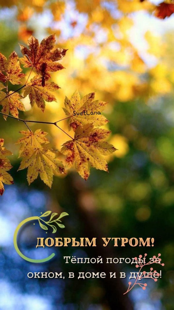 осень доброе утро
