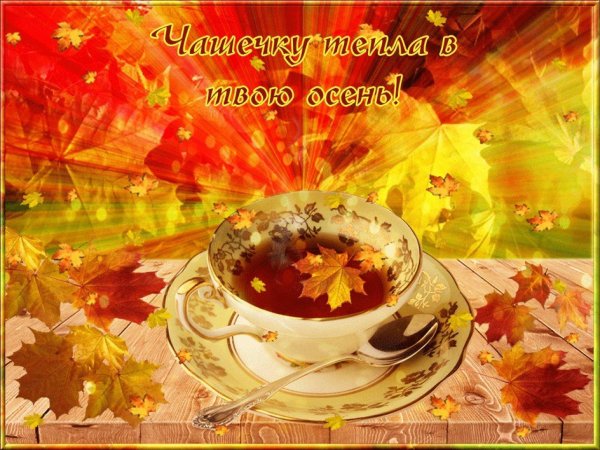 теплого осеннего утра