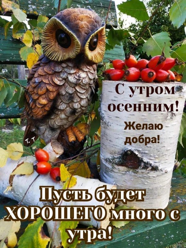 доброе осеннее утро и хорошего дня прикольные