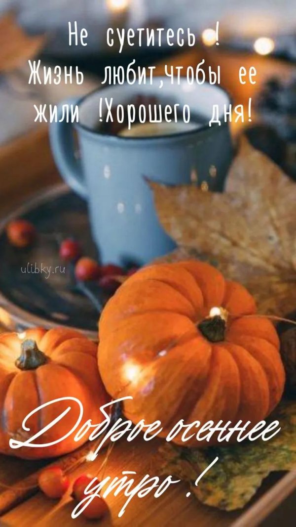 осенние тыквы